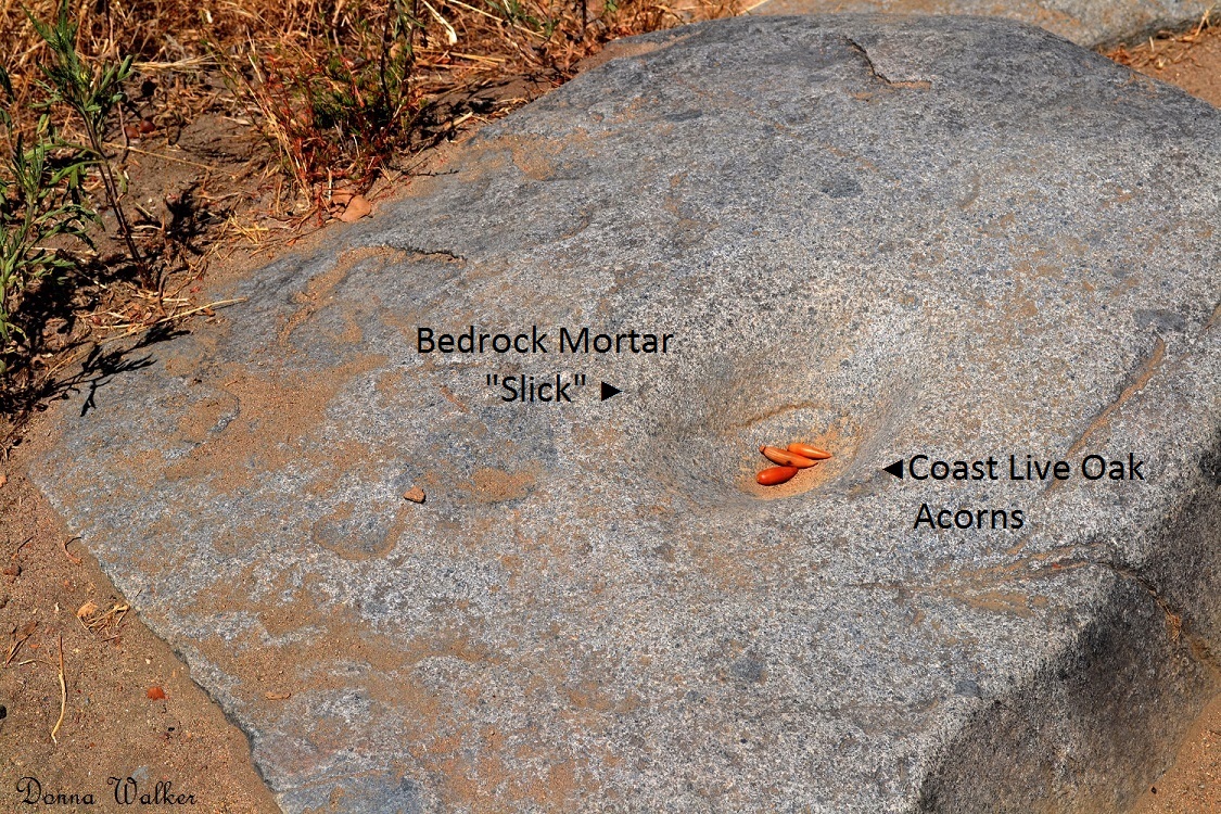 Prehistoric Grinding Rocks - Mission Trails Regional Park, San Diego, CA