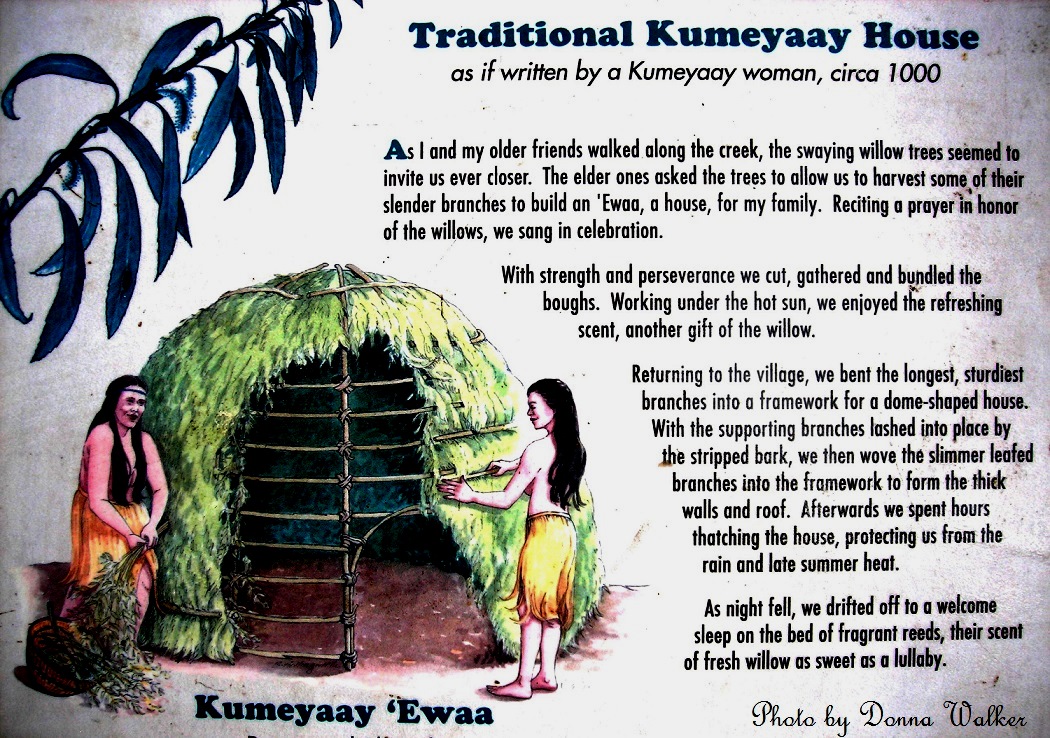 Kumeyaay lived in a thatched dwelling called ewaa