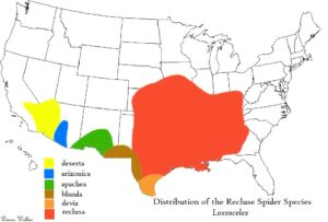 Range of the Brown Recluse in the United States